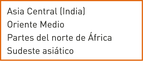 Asia Central (India) Oriente Medio Partes del norte de África Sudeste asiático