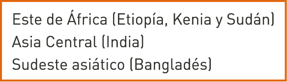 Este de África (Etiopía, Kenia y Sudán) Asia Central (India) Sudeste asiático (Bangladés)