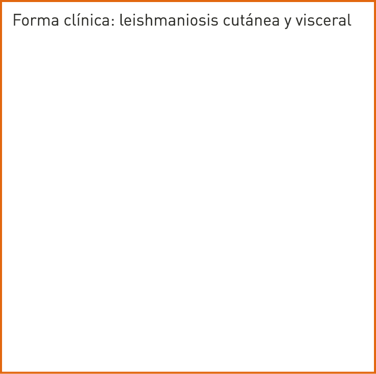 Forma clínica: leishmaniosis cutánea y visceral