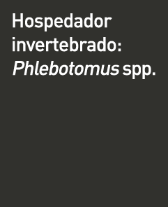 cuadro_1
