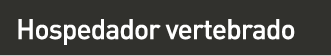 cuadro_1