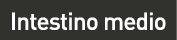 cuadro_1