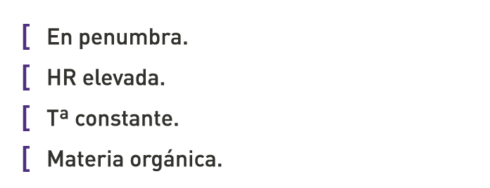 [ En penumbra. [ HR elevada. [ Tª constante. [ Materia orgánica.