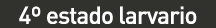 cuadro_1
