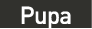 cuadro_1