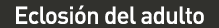 cuadro_1