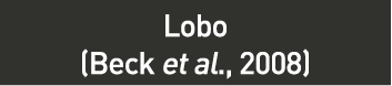 cuadro_1