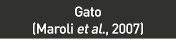 cuadro_1