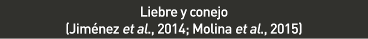 cuadro_1