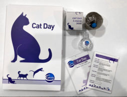 CAT DAY
