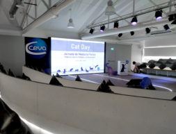 CAT DAY