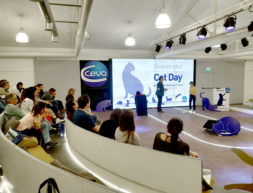 CAT DAY